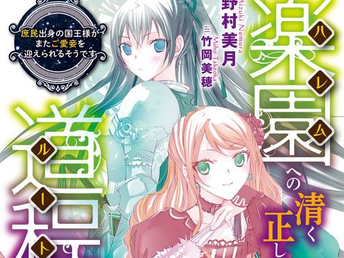 感想  『楽園への清く正しき道程 3（庶民出身の国王様がまたご愛妾を）』 淡い恋心が結ぶ縁